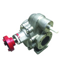 Stainless steel gear pump food safety pump pressure pump